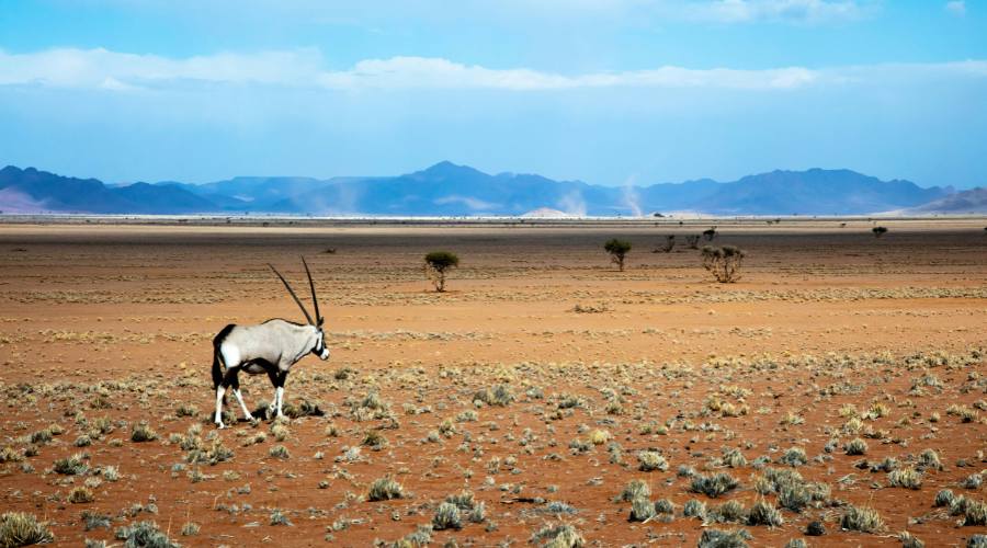 Namibia3