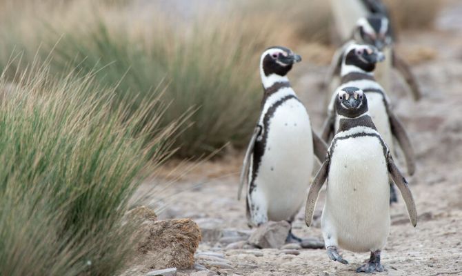 South Africa